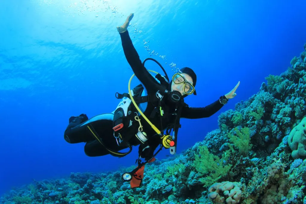 Dive Deeper With Confidence: The Importance Of Snorkelling Gear